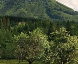 Důvodů pro ministerstvo venkova přibývá