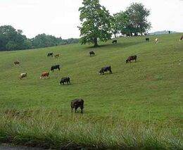 2020 METODIKA k provádění nařízení vlády č. 75/2015 Sb.