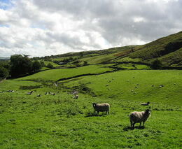 Pozvánka na workshop "Zemědělská krajina – prostor pro život"