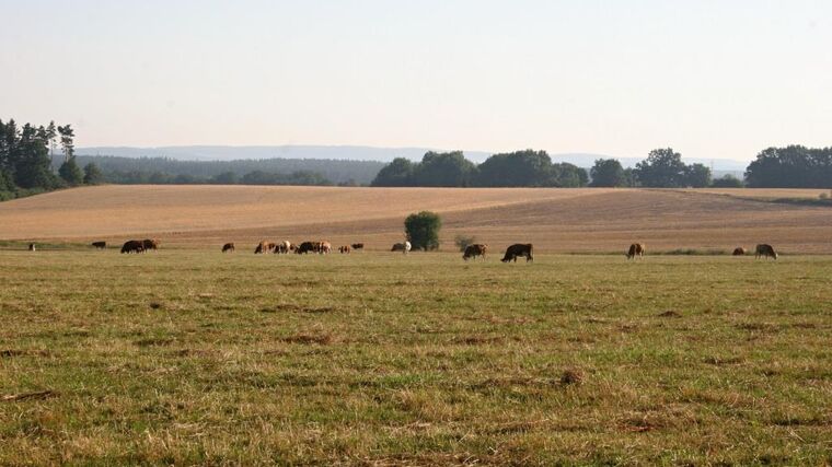 2020 PŘÍRUČKA PRO ŽADATELE o podpoře elektronické přípravy a podání žádostí na Portálu farmáře SZIF