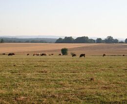 Asociace soukromého zemědělství ČR k návrhům podmínek pro ekologické zemědělství