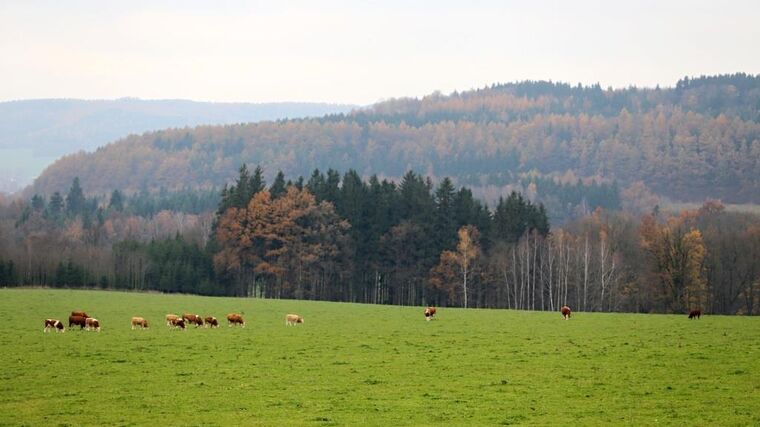 Do 15. ročníku soutěže Žít krajinou se přihlásilo 45 projektů
