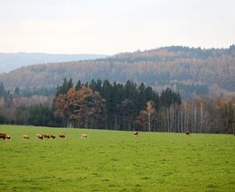 Do 15. ročníku soutěže Žít krajinou se přihlásilo 45 projektů