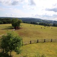 Zadrátovaná krajina: Novela stavebního zákona výrazně omezí volný pohyb v české přírodě