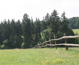 Zemědělské protesty – co si z nich vzít dobrého a co odmítnout