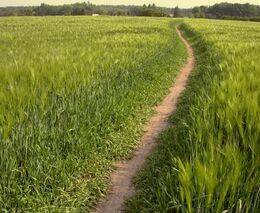 SOCR chce se soukromými zemědělci zjednodušení podnikání pro malé farmáře 