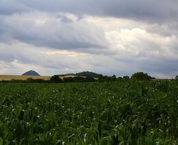 Proměnlivé počasí a deště zastavily a zmírnily rozmach půdního sucha v Česku
