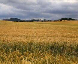 Prezident Pavel přijal demisi ministra Nekuly. Ve čtvrtek na jeho místo jmenuje Výborného