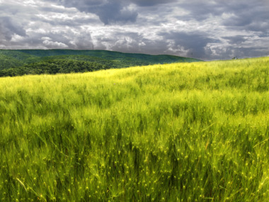 Odborné semináře s důležitými tématy