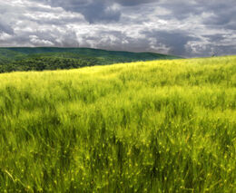 Odborné semináře s důležitými tématy