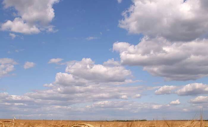 Transformace institucí dostává logiku