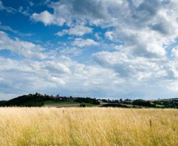 Petr Havel: Jaké požadavky českých zemědělců je reálné splnit a proč