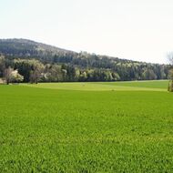 Zemědělci: Hnojiva oproti loňsku o čtvrtinu zdražila, hrozí nižší výnosy plodin 
