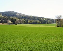 Zemědělci budou moci aplikovat přípravky proti škůdcům z dronů
