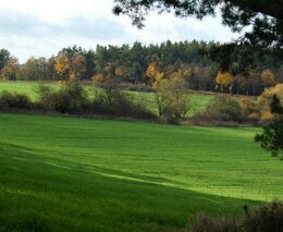 ASZ ČR: Dorovnat  přímé platby