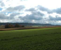 Reakce na článek předsedy Zemědělského svazu v Hospodářských novinách