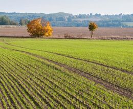 Asociace nedemonstruje a podporuje vládní kroky