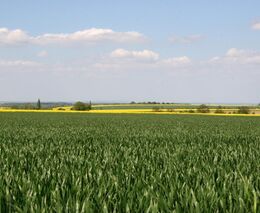 Systém monitorování zemědělských ploch pomocí družic byl uveden do provozu