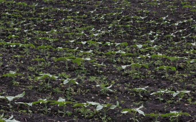 6.5. v 9:00 hod, zajímavý webinář na téma „Půda a rizika jejího poškozování“