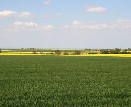 Týden podle PH č. 19 - 2017 (pH týdne 6)