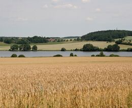 Havarijní plány jako další byrokracie pro zemědělce