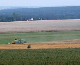 Jak dál v zemědělství?