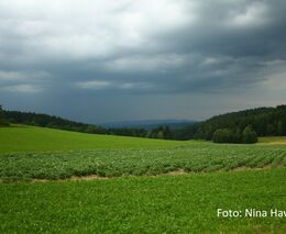 Nová technologie zavlažování oceněná Zlatým klasem už slouží na polích