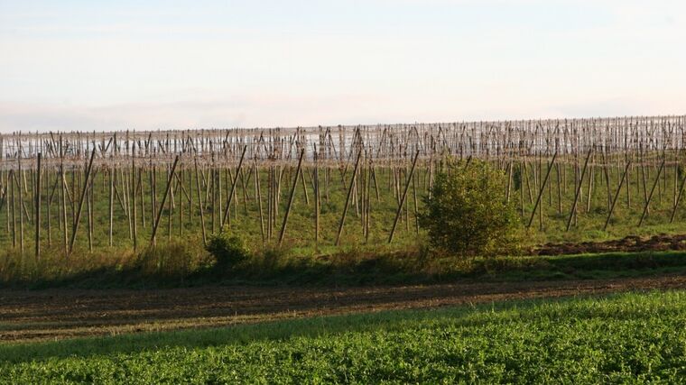 Nejvíc podpory dostávaly největší agropodniky. Tuto nespravedlnost napravíme, slibuje Bendl