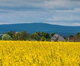 Kde je slibovaná deagrofertizace? Ministerstvo udělalo novou dotační cestu pro agrární koncerny