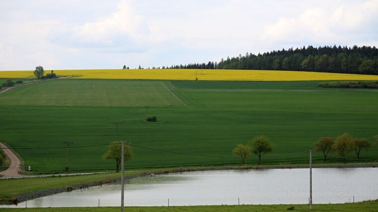 Týden podle PH č. 19 - 2021 (pH týdne: 7)