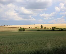 Kritici nálezu Ústavního soudu o redistributivních platbách používají zavádějící argumenty