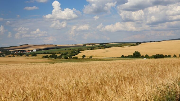 Výborný: Fond PGRLF připravil program na podporu provozních úvěrů pro farmáře 