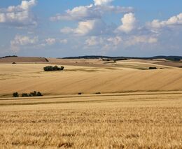 Jaroslav Šebek pro FORUM24.cz: Budování a dotování stále větších kolosů nás dovedlo do slepé uličky