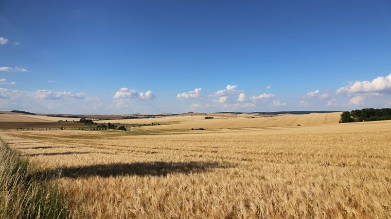 Agrárníci z Visegrádu volají po finanční podpoře z EU i změnách v Zelené dohodě