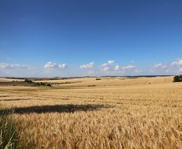 Agrárníci z Visegrádu volají po finanční podpoře z EU i změnách v Zelené dohodě