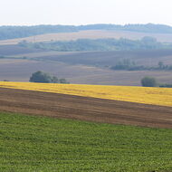 Strop pro dotace? Malí farmáři hranici vítají, ministerstvo ale varuje