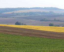 Postoje ASZ ČR ke koaličnímu programu v oblasti zemědělství, který byl zveřejněn 8. listopadu 2021
