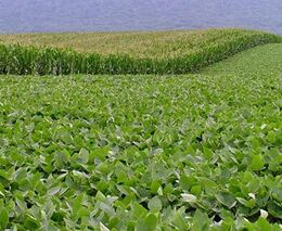 Co lze čekat od Health Check?