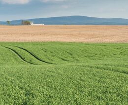 Co všechno znamená dotační kauza Babišova Agrofertu pro voliče?