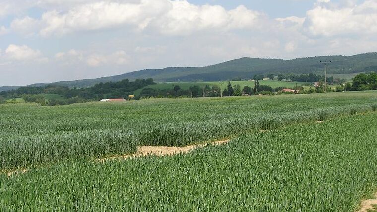 Lidovec Výborný míří do vlády. Soběstačnost je nesmyslná priorita, míní soukromí zemědělci