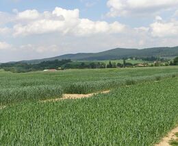 Prodej půdy nesmí zvýšit prostor k vydírání