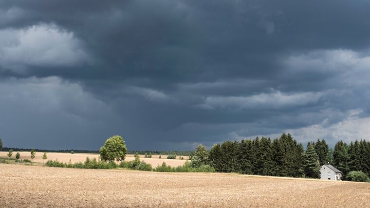 Týden podle PH č. 28 - 2019 (pH týdne: 7)