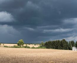 Týden podle PH č. 28 - 2019 (pH týdne: 7)