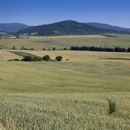 Babišovy zájmy? „V Bruselu si musí dávat velký pozor, co teď od české vlády jde,“ říká šéf Asociace