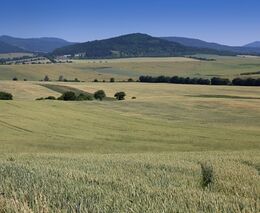 Zemědělská půda potřebuje systematickou ochranu