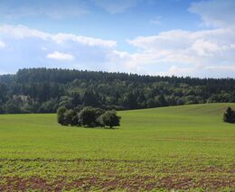 ASZ ČR: Kromě ochrany zdraví je nutné také zachovat podnikatelské jistoty