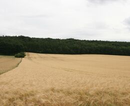 Přílišná koncentrace zemědělství i vlastnictví půdy je rizikem pro celou společnost