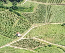 Stát zdraží pachtovné, získá tím 200 milionů korun