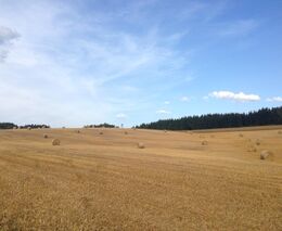 Omyl ministra zemědělství