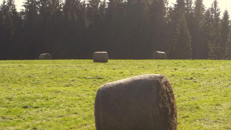 Polští rolníci na protest zablokovali ministerstvo zemědělství balíky slámy